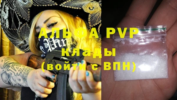 альфа пвп Гусев