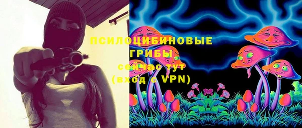 а пвп мука Гусь-Хрустальный
