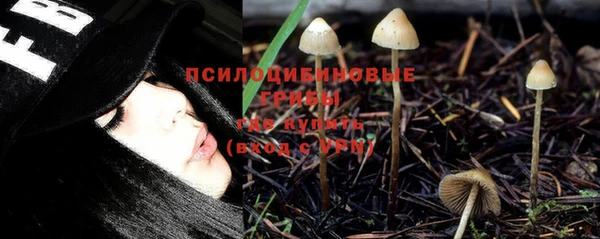 а пвп мука Гусь-Хрустальный