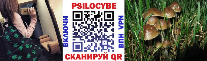 Псилоцибиновые грибы MAGIC MUSHROOMS  Мытищи 